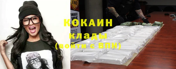 ешки Алексин