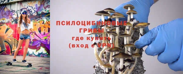 ешки Алексин