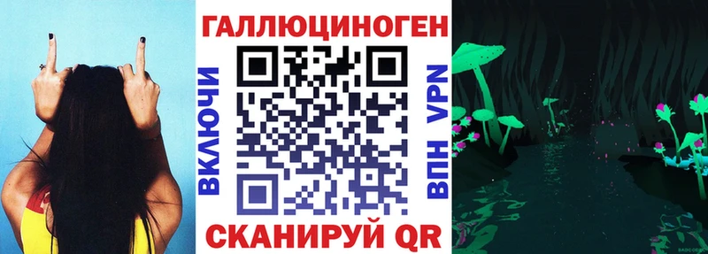 что такое   mega ТОР  Псилоцибиновые грибы прущие грибы  Дыгулыбгей 